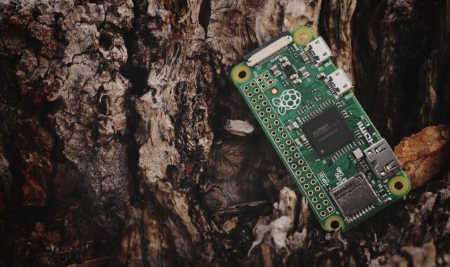 raspberry pi, pi, electronics, computer, technology, chip, pi zero, outside, wood, nature, wooden, brown computer, brown technology, brown laptop, raspberry pi, raspberry pi, raspberry pi, raspberry pi, raspberry pi