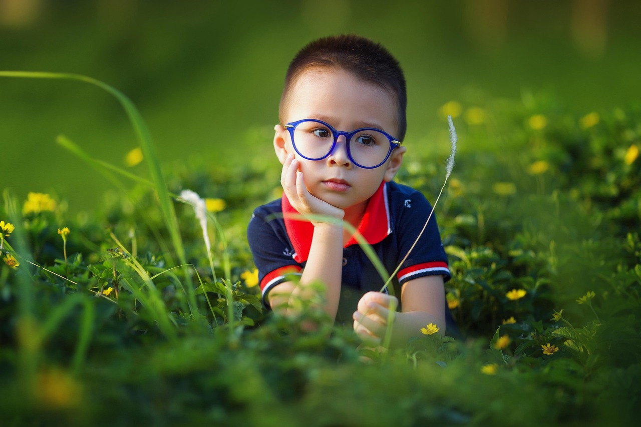kid, boy, field, glasses, spectacles, eyeglasses, child, young, childhood, pose, clever, smart, cute, plants, nature, grass, outdoors, vietnam, asian, portrait