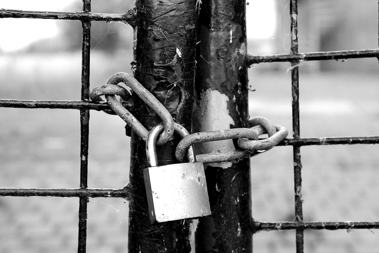 fence, castle, chain lock, padlock, grid, to back up, shut off, security, chain, close, closed, metal fence, lock, old, door lock, metal, door, locked, shut down, closure, entrance, old door, to graduate, padlock, padlock, door lock, shut down, shut down, shut down, shut down, shut down, closure