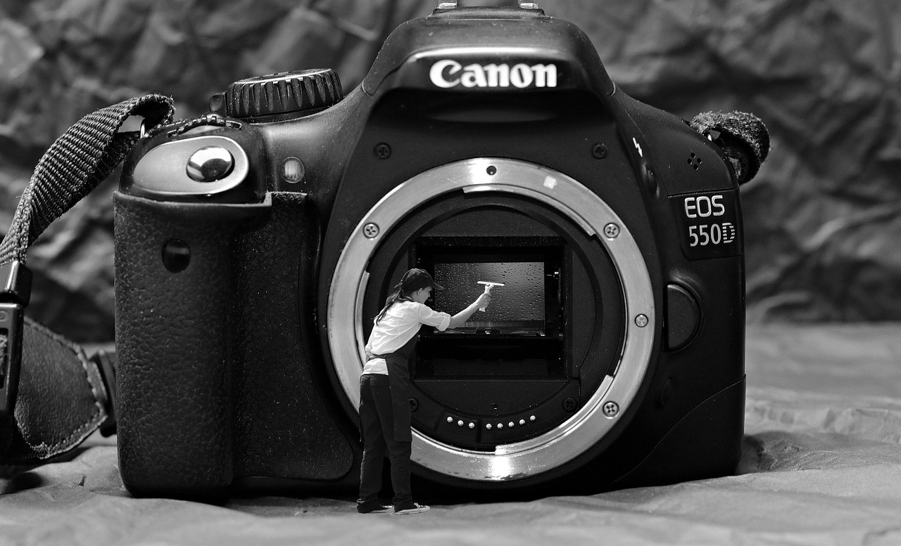 spring cleaning, nature, sensor cleaning, sensor, cleaning, camera, clean, wash up, to clean, canon, 550d, innenleben a camera, mirrors, woman, puller, laundry day, wet, spring, humor, funny, fun, representation