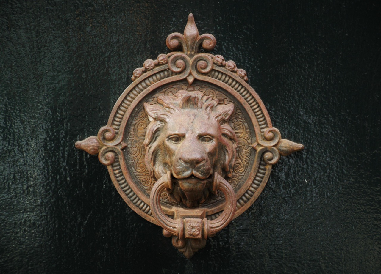 door handle, door, door lock, door knocker, brass, metal, close door handle, doorknob, close up, handle, ring, metal ring, metal handle, front door, entrance, old, house entrance, lion head, head, bronze, fitting, door fitting, figure, metal sculpture, deco, decorative, door handle, door handle, door, door, door knocker, door knocker, door knocker, door knocker, door knocker, handle, front door, front door, front door, lion head, bronze, bronze, bronze, bronze