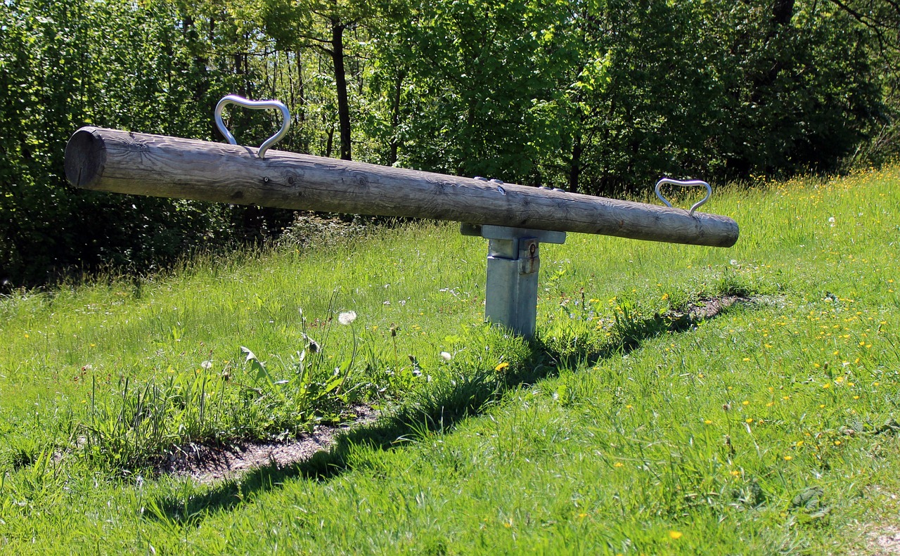 seesaw, swing, swing device, bar, game device, rock, balance, seesaw, seesaw, seesaw, seesaw, seesaw