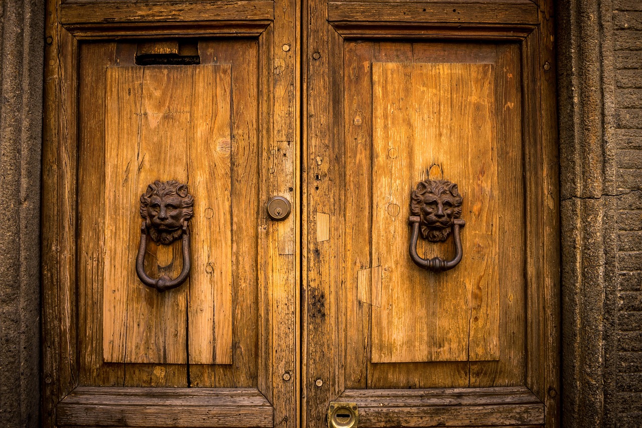 door, gate, entrance, exit, entrance door, front door, house entrance, door handle, door knob, house, door knocker, door fitting
