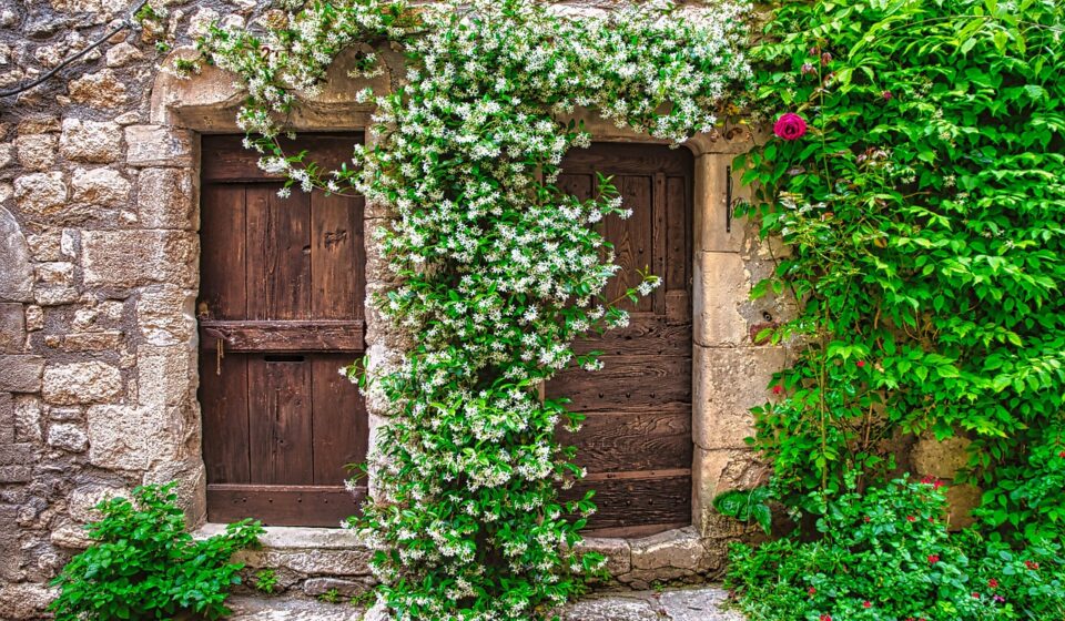 door, plants, vines, lock, pierre, entry, arched, facade, steps, nature, medieval, wall