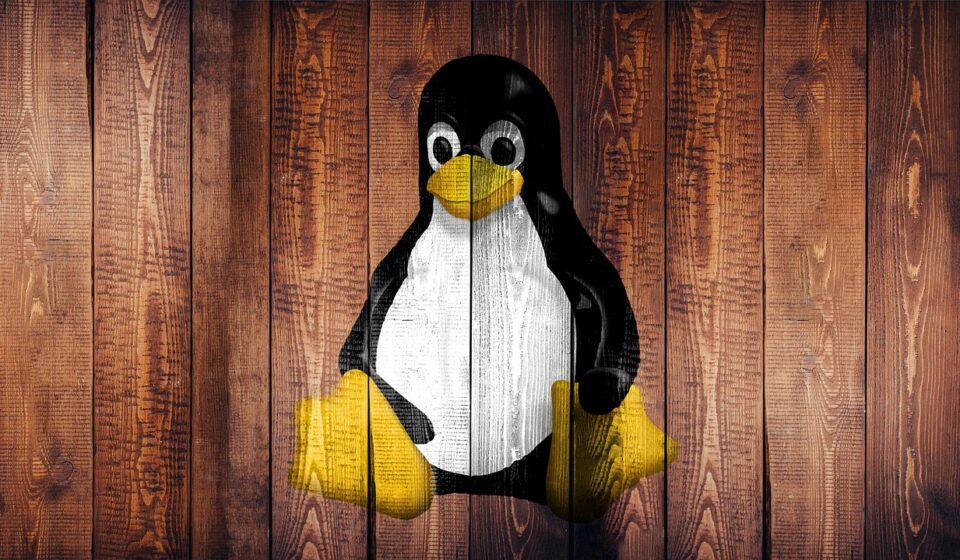 linux, laptop, screen, wallpaper, wood, penguin, hd wallpaper, graffiti, logo