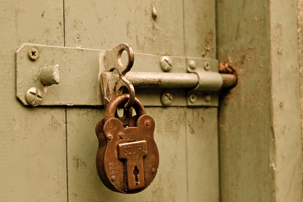bolt, padlock, door, locked, paint, gate, brass, lock, brown door, brown paint, padlock, padlock, padlock, locked, locked, locked, lock, lock, lock, lock, lock