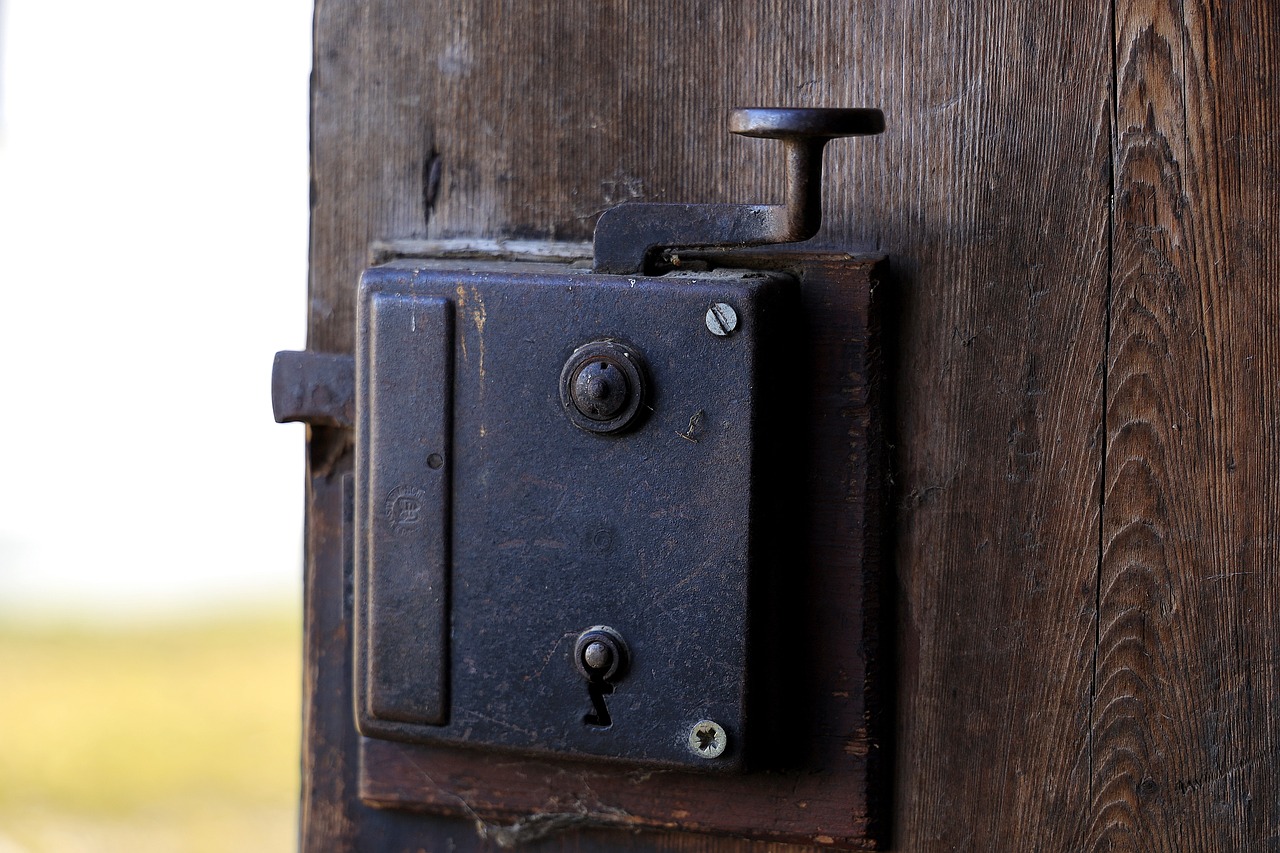 door lock, old, metal, door fitting, wooden door, lock, castle, key hole, mouse box lock, door handle