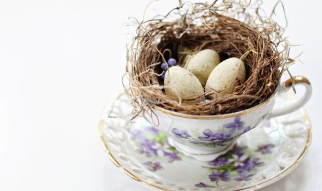 vintage, tea cup, bird's nest, nest, eggs, easter, spring, cup, tea, drink, violets, table, renewal, holiday, nature, celebration, decoration, natural, décor