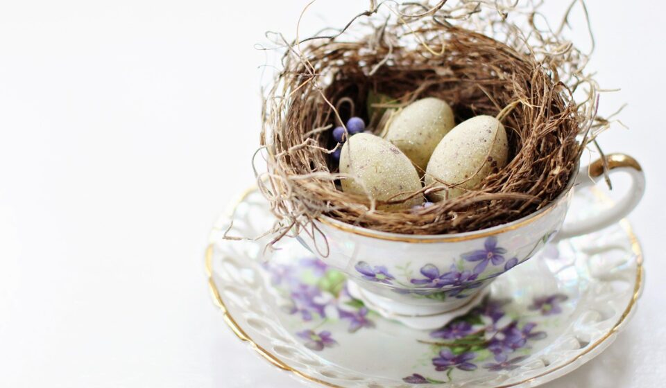 vintage, tea cup, bird's nest, nest, eggs, easter, spring, cup, tea, drink, violets, table, renewal, holiday, nature, celebration, decoration, natural, décor