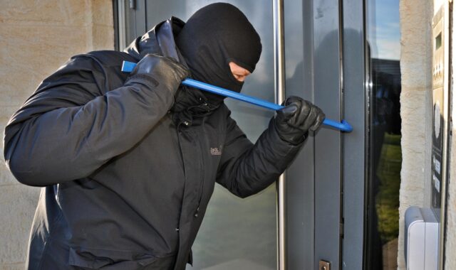 burglar, mask, kuhfuss, burglar, burglar, burglar, burglar, burglar