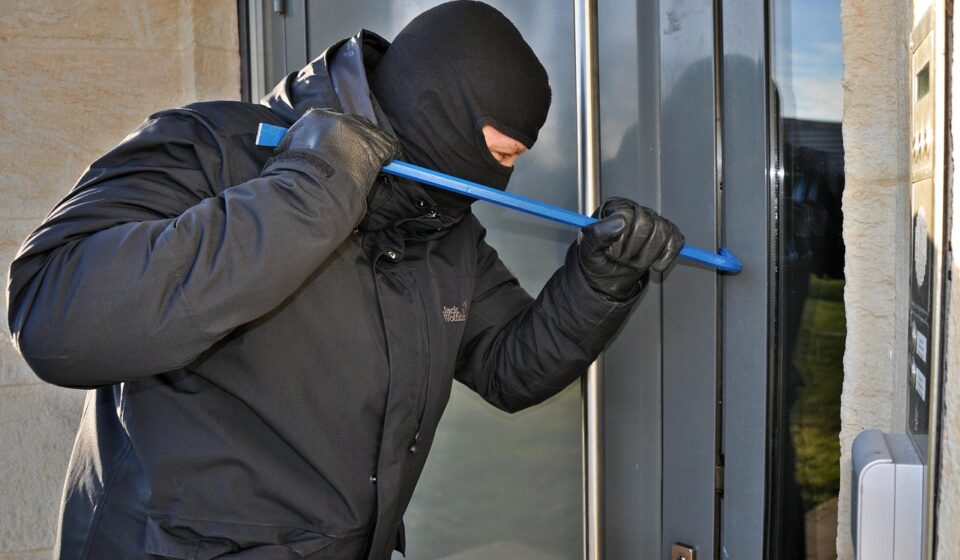 burglar, mask, kuhfuss, burglar, burglar, burglar, burglar, burglar