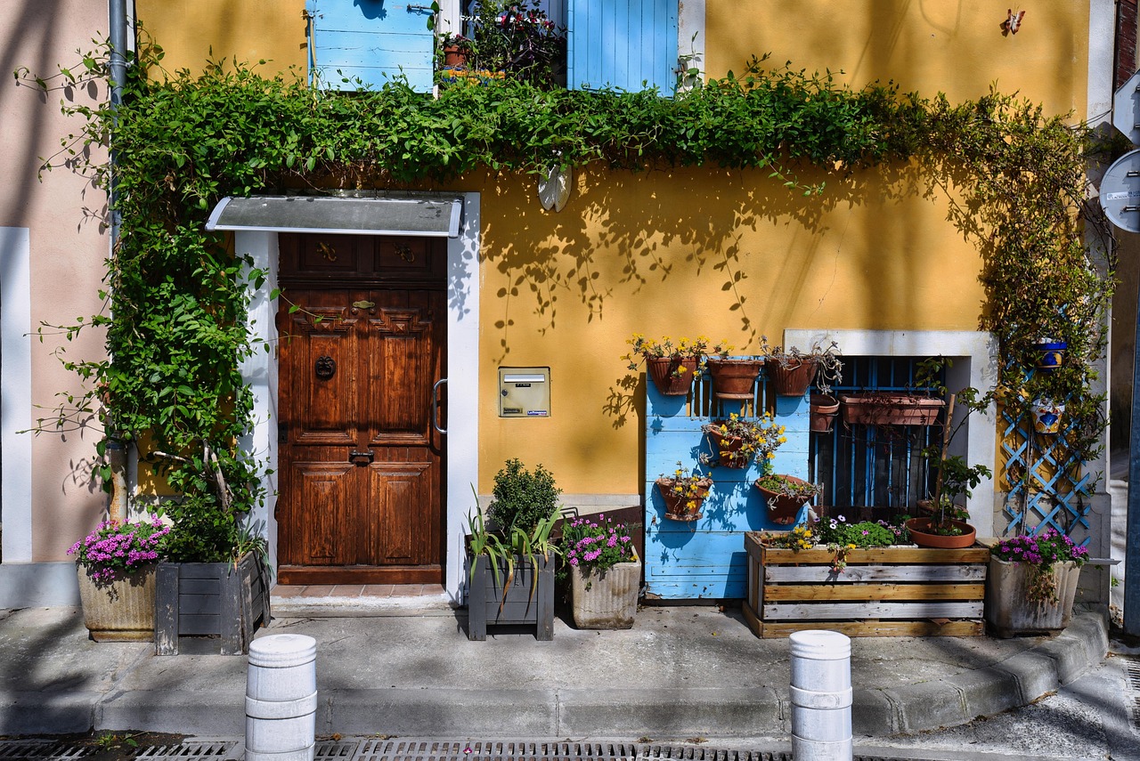buildings, house, facade, decoration, door, entry