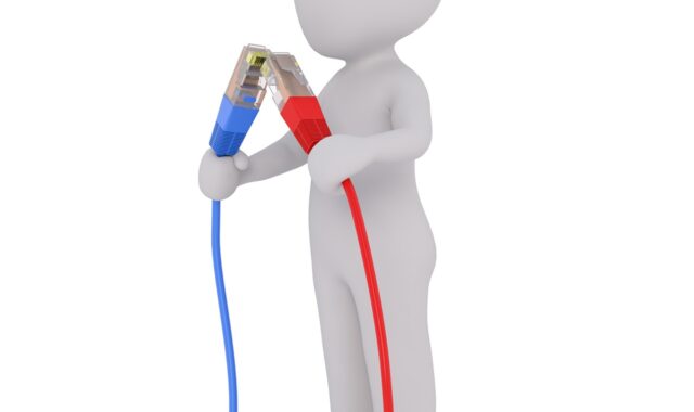 connection, cable, country cable, red, blue, connected, technology, communication, broadband, plug, wire, e-learning, lan, phone, electro, network, computer, internet, electrician, ethernet, connect, server, contact, network cable, data, cable, connected, broadband, electrician, electrician, electrician, electrician, electrician, connect, connect, connect, server, server