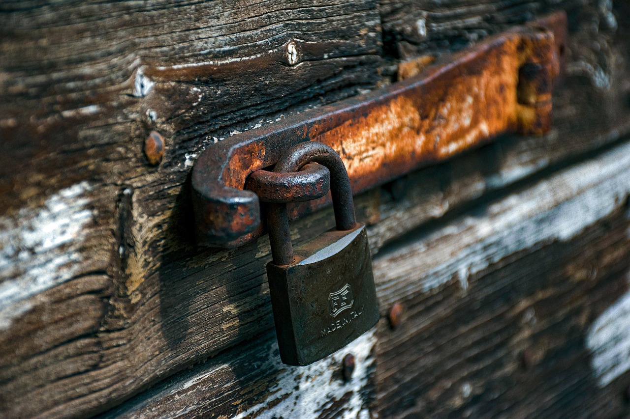 lock, door, padlock, closed, security, rusty, wooden door, italy, ancient door, metal, old padlock, old lock, protected, entrance, brown wallpaper, wood and metal, entry