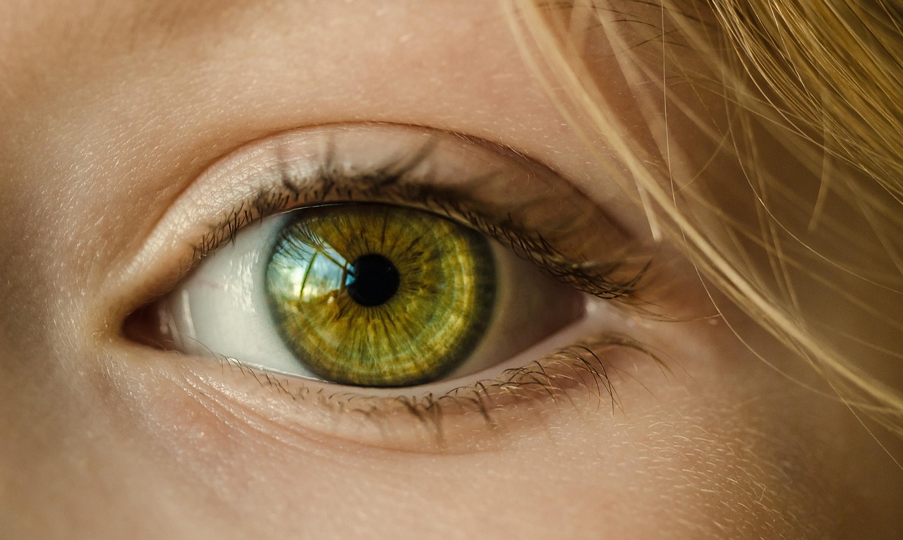 eye, iris, look, focus, green eye, close up, retina, pupil, eyeball, vision, sight, macro, girl, young, female, skin, caucasian, eyelashes, eye, eye, eye, eye, eye