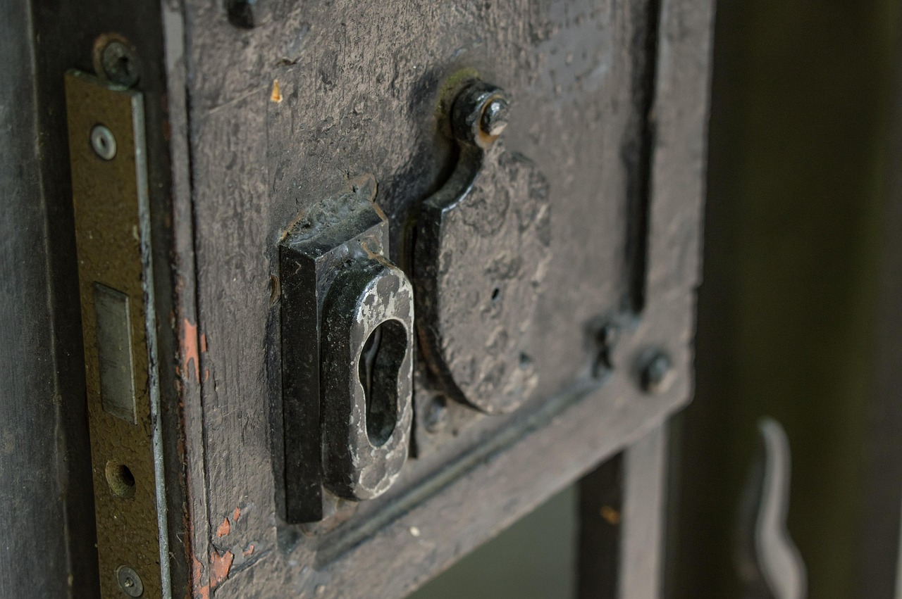 door, door lock, to graduate, entrance, iron, old, metal, old door, rusty, berlin