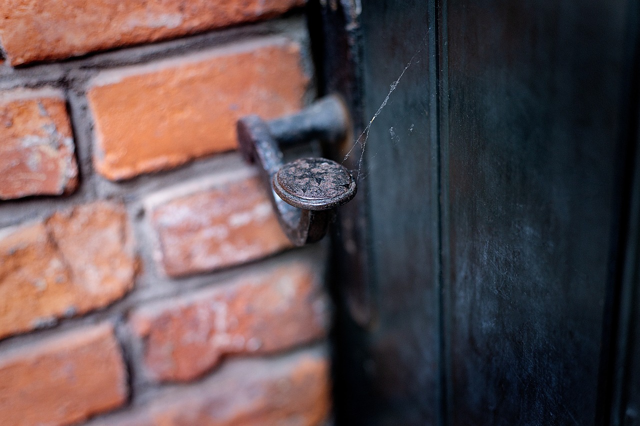 door knob, front door, door, entrance, old, wood, house entrance, metal, gate, iron, antique, wooden door, architecture, fitting, rusty, jack, ornament, close up